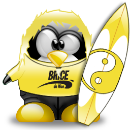 penguin pingouin pinguino 334